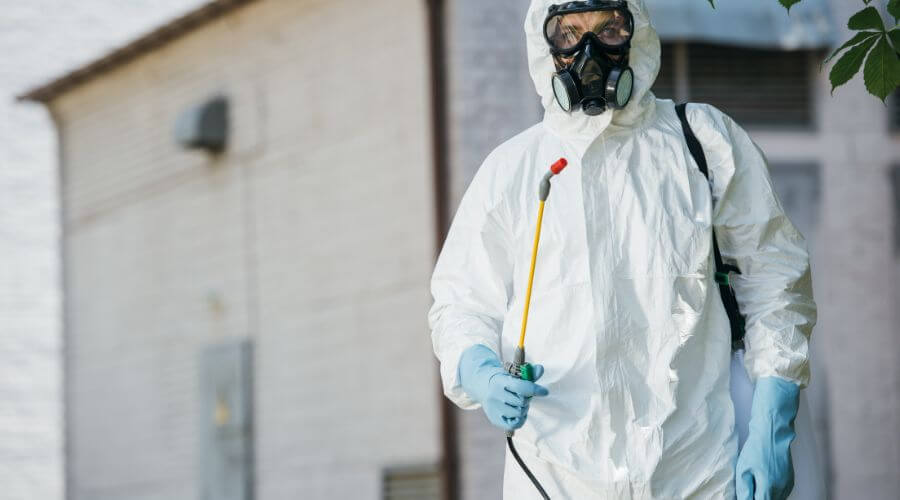 Professional pigeon control systems services in Ingalls - Pigeon Control Systems Ingalls
